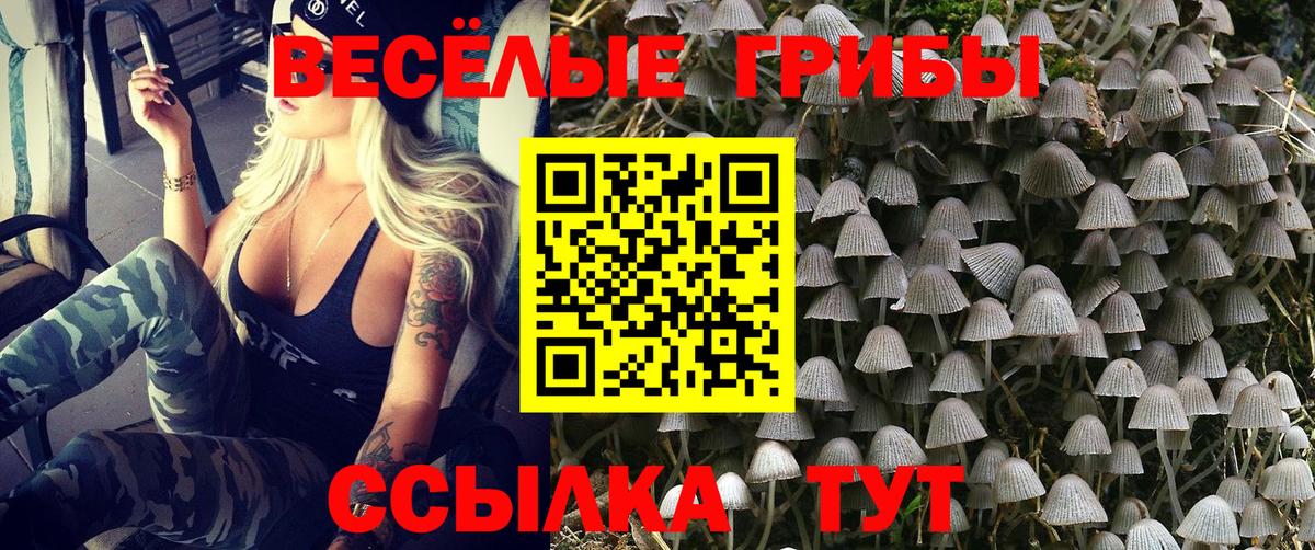 Галлюциногенные грибы Cubensis  Галлюциногенные грибы Psilocybe  закладки  Солнечногорск  Вход с VPN 