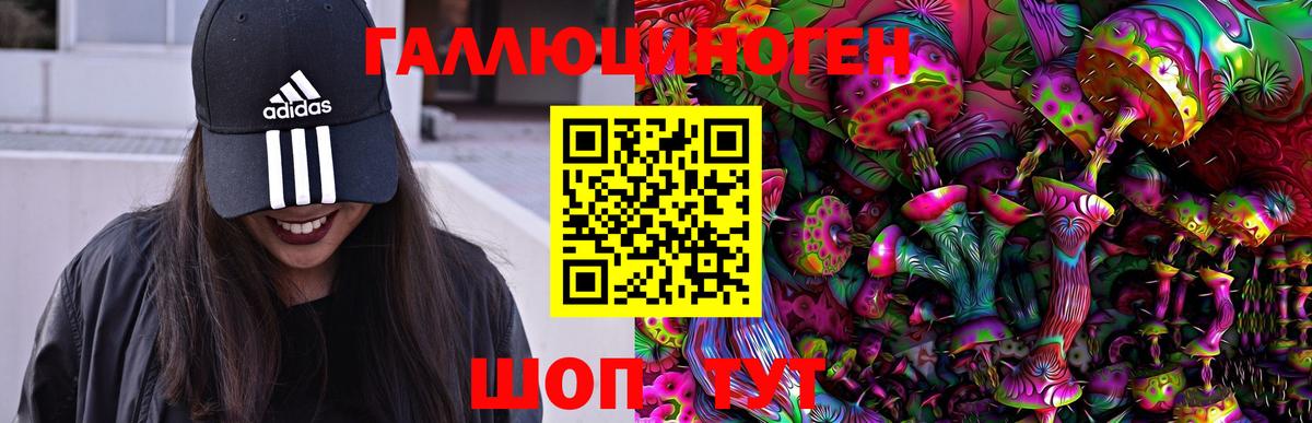 Галлюциногенные грибы Psilocybe Солнечногорск